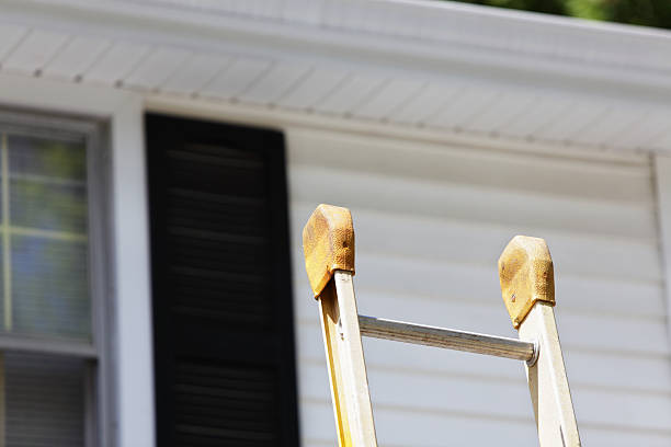 Shed Removal